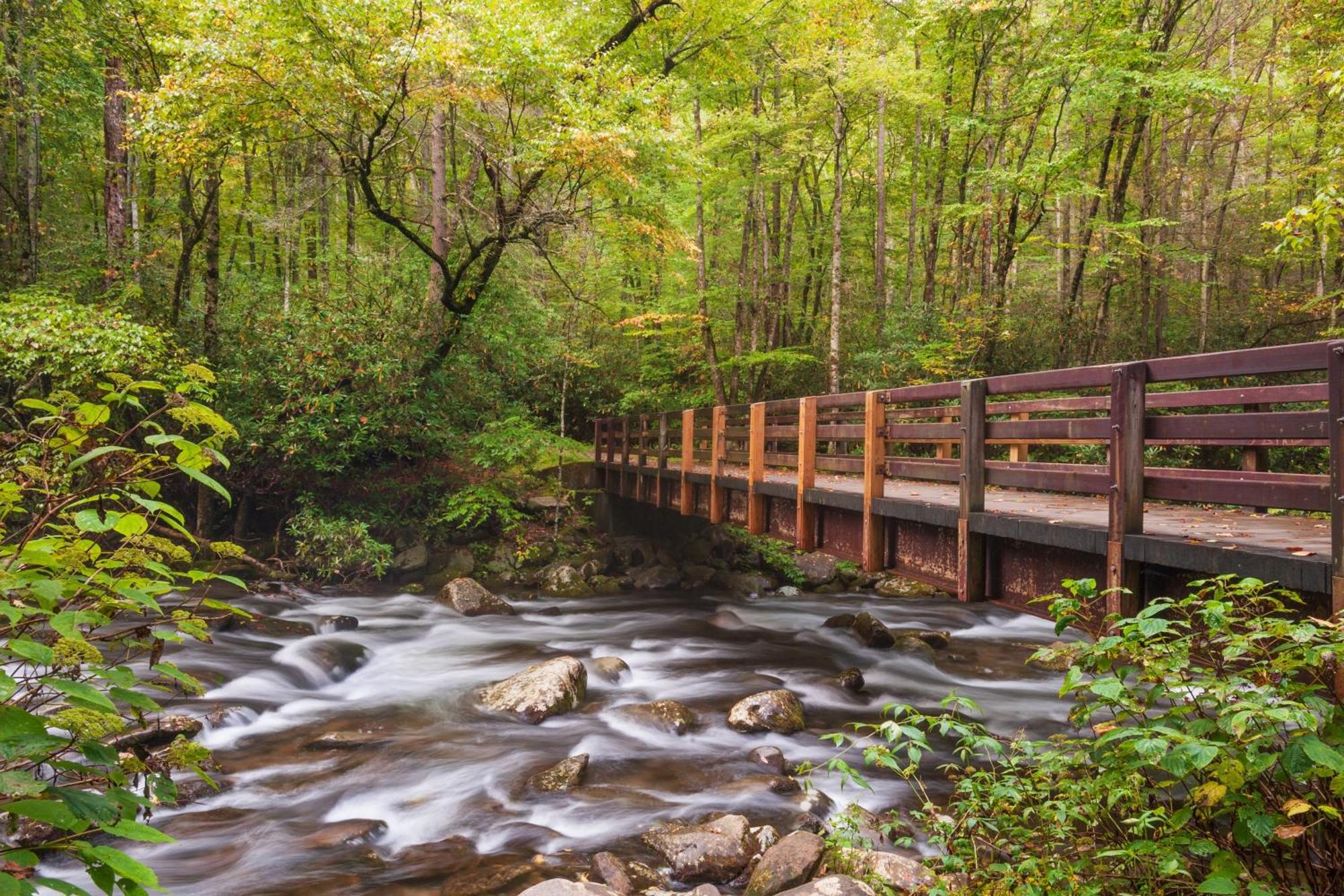 The Cozy Cove, Hot Tub, Wifi, 1089 Free Tickets Each Paid Day, Dollywood And More Sevierville Eksteriør bilde