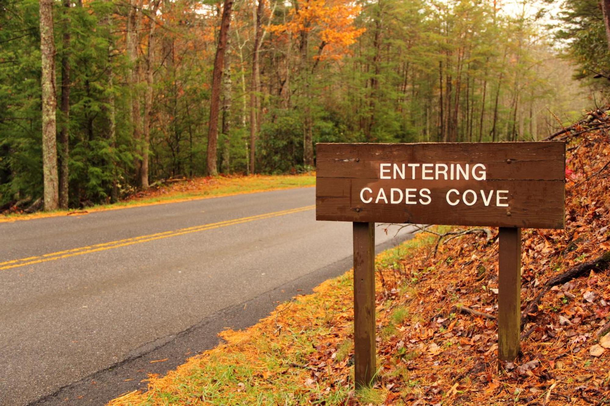 The Cozy Cove, Hot Tub, Wifi, 1089 Free Tickets Each Paid Day, Dollywood And More Sevierville Eksteriør bilde